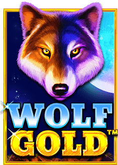 สำรวจความสนุกของสล็อต pg vip กับค่าย Jili